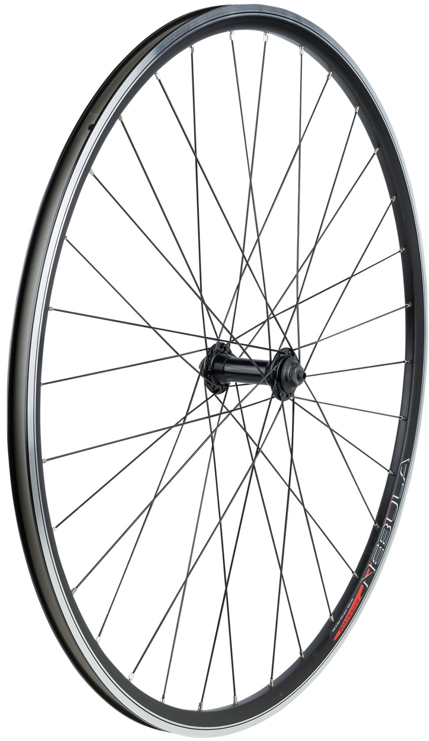 speedster 20 disc 2019