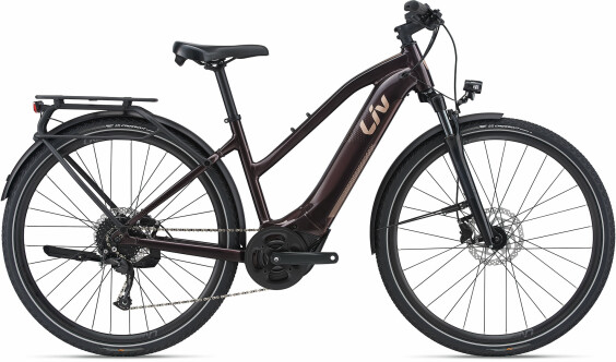 Giant Amiti E+2 2021